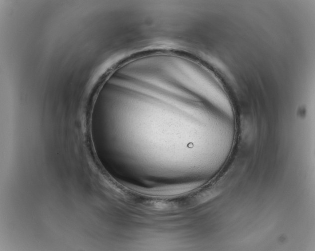 X0000090991318200708161909