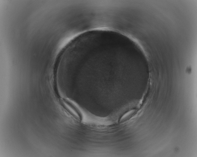 X0000090991319200708161909