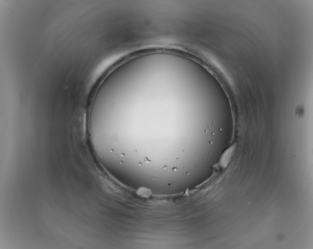 X0000090991320200708161909