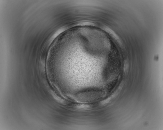 X0000090991321200708161909