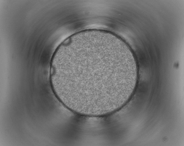 X0000090991322200708161909