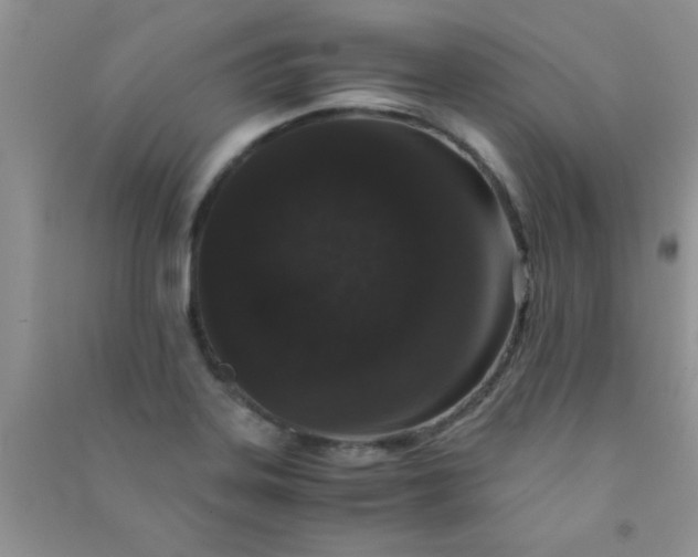 X0000090991323200708161909