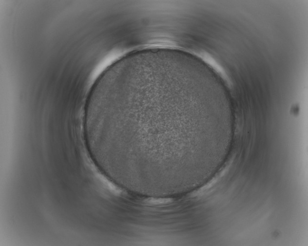 X0000090991325200708161909