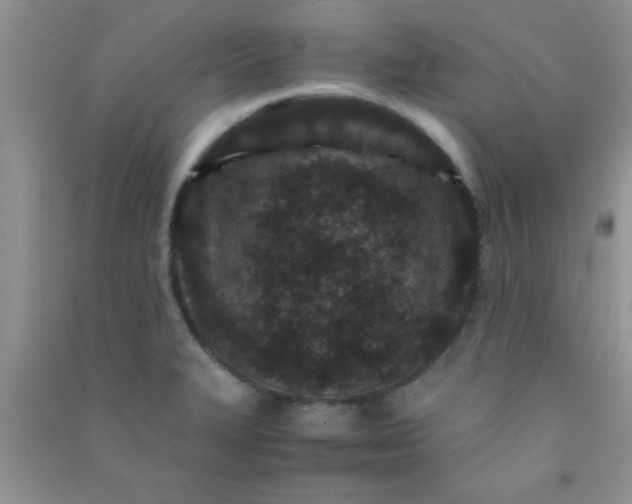 X0000090991327200708161909