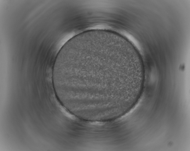 X0000090991329200708161909