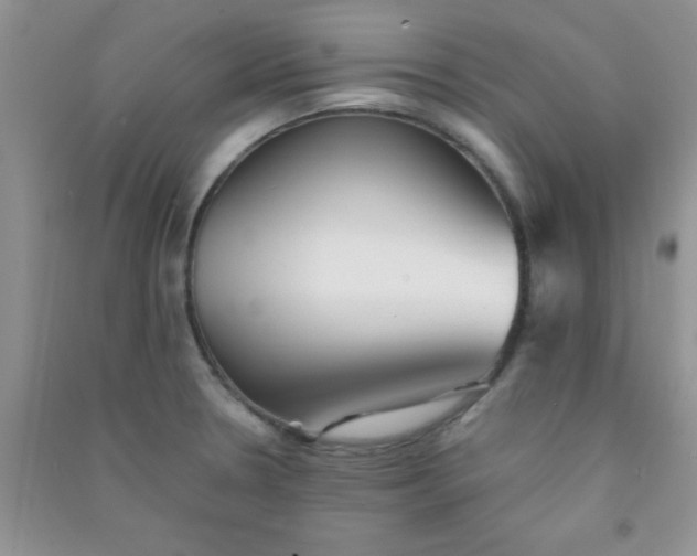 X0000090991330200708161909