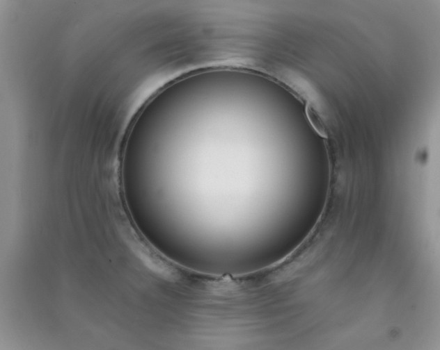 X0000090991332200708161909