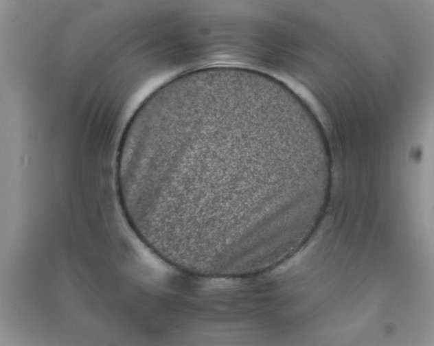 X0000090991333200708161909