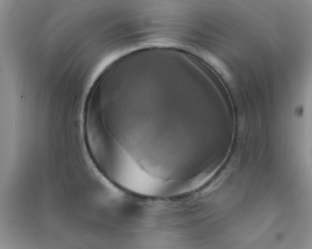 X0000090991334200708161909