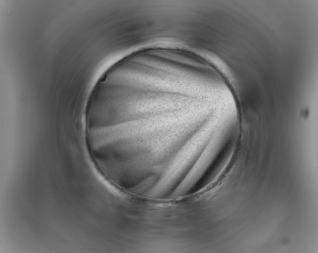 X0000090991335200708161909