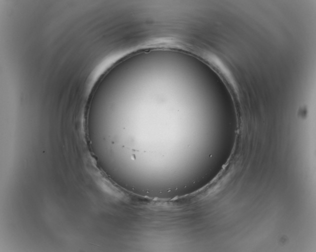 X0000090991336200708161909