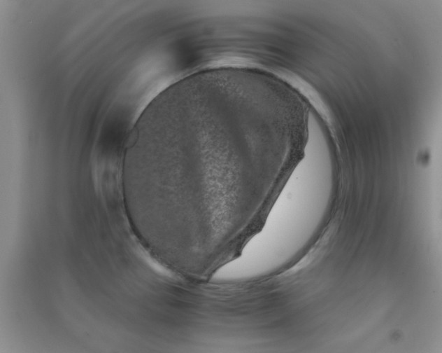 X0000090991337200708161909