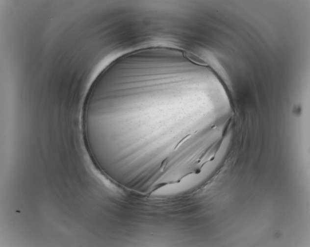 X0000090991339200708161909