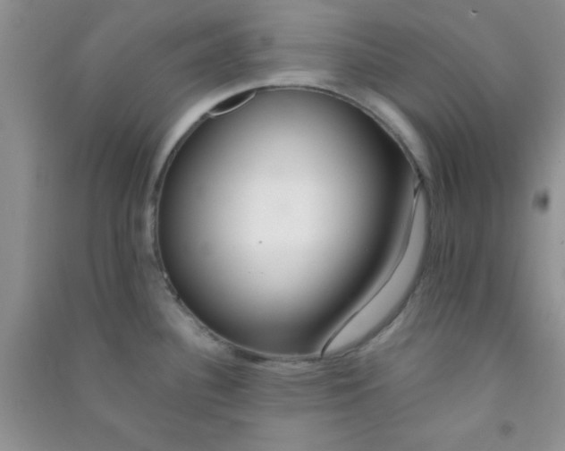 X0000090991340200708161909