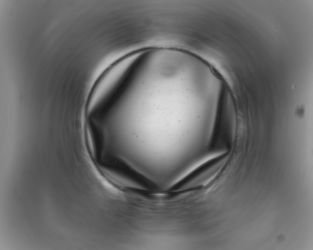 X0000090991343200708161909