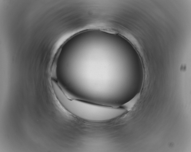 X0000090991344200708161909