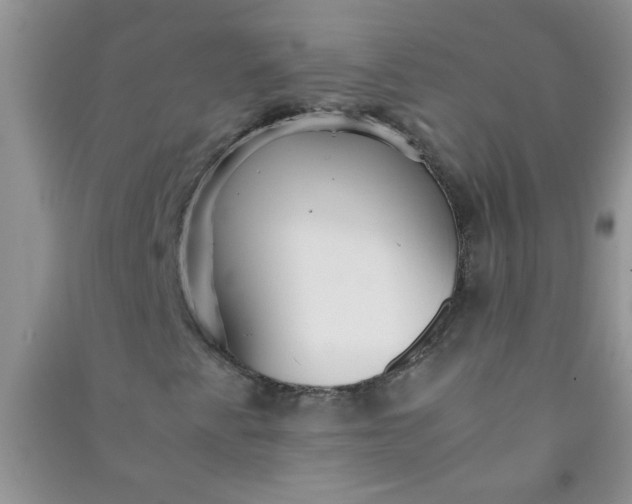 X0000090991345200708161908