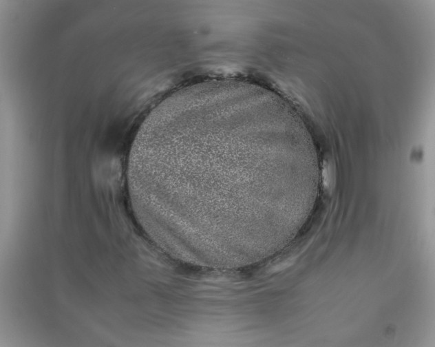 X0000090991347200708161908