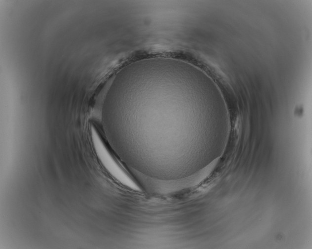 X0000090991348200708161908