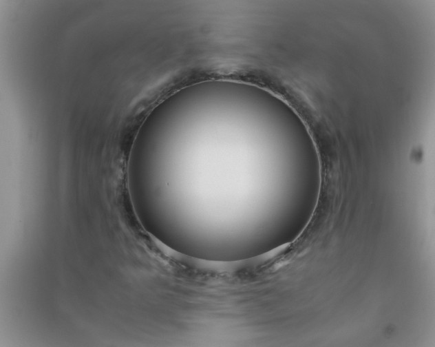 X0000090991349200708161908