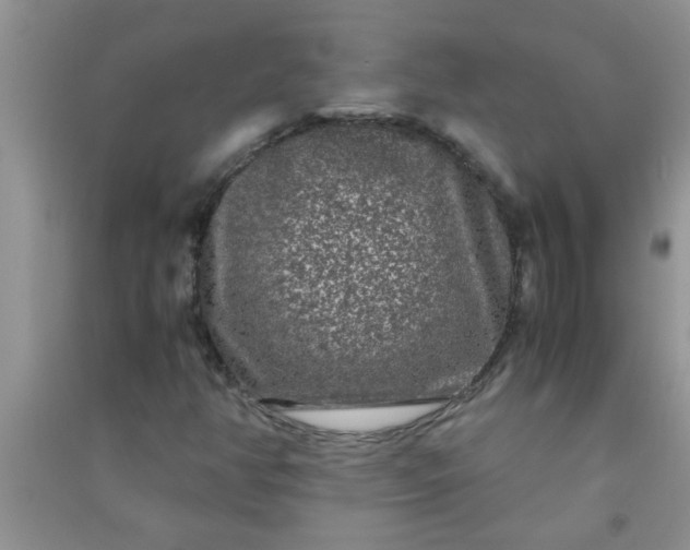 X0000090991350200708161908