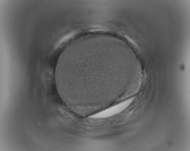 X0000090991351200708161908