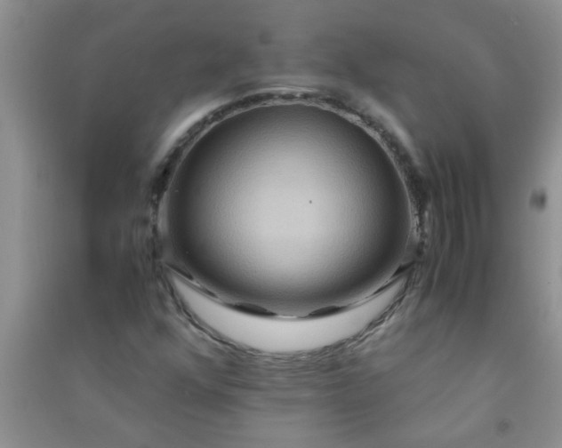 X0000090991352200708161908
