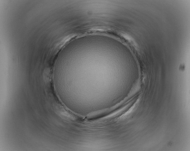 X0000090991353200708161908