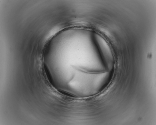 X0000090991354200708161908