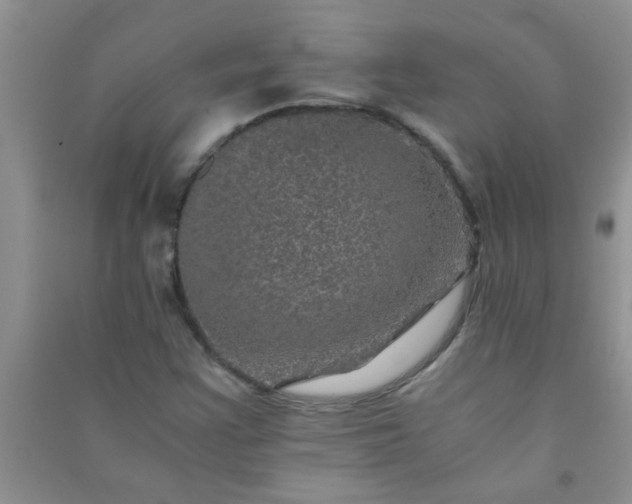 X0000090991355200708161908