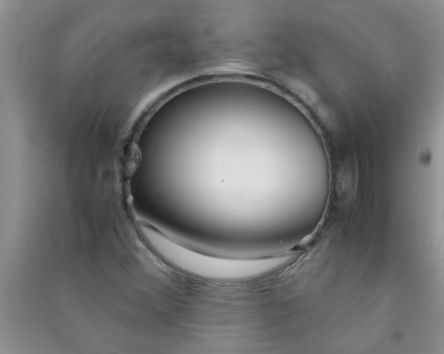 X0000090991356200708161908