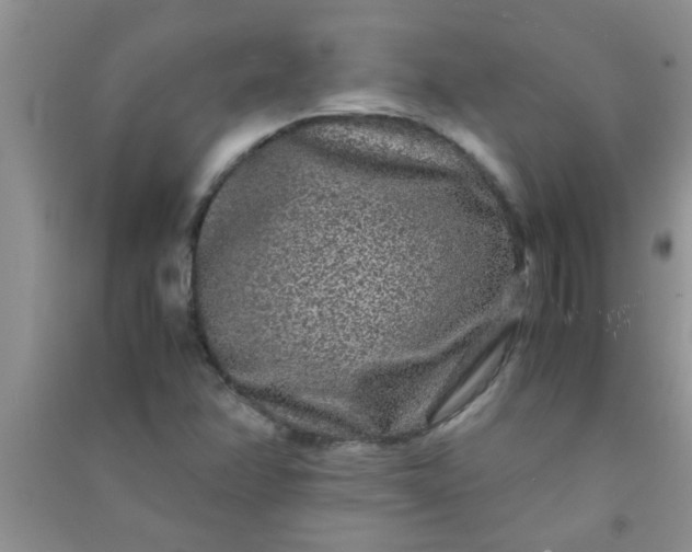 X0000090991358200708161908