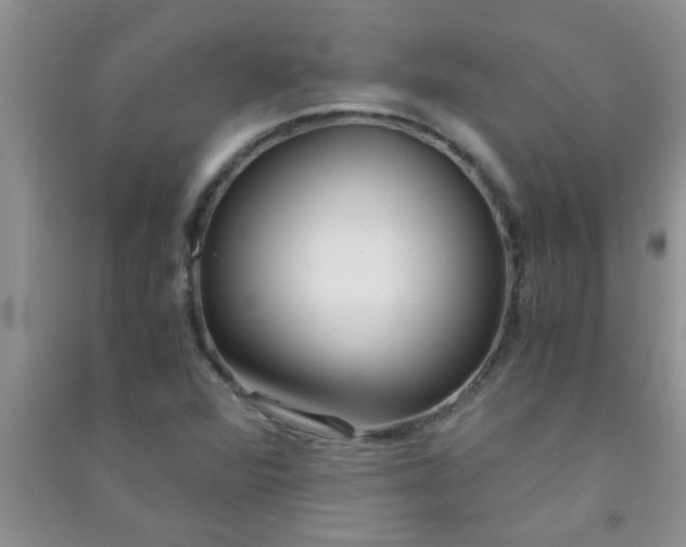 X0000090991360200708161908