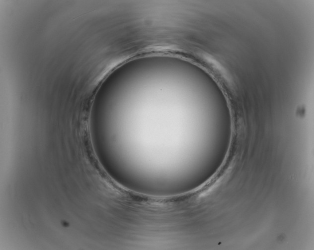 X0000090991361200708161908