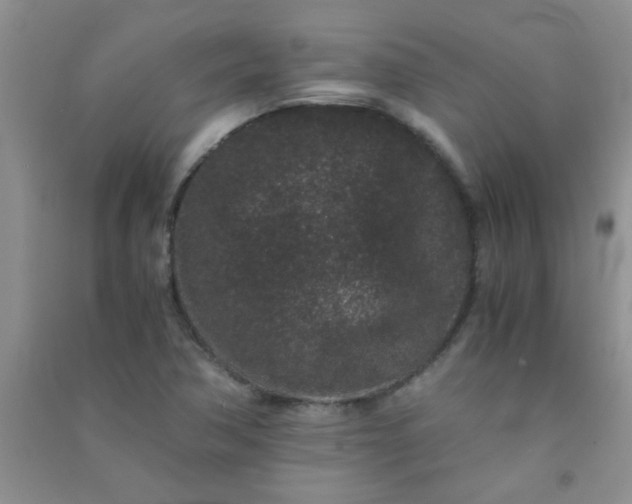 X0000090991362200708161908