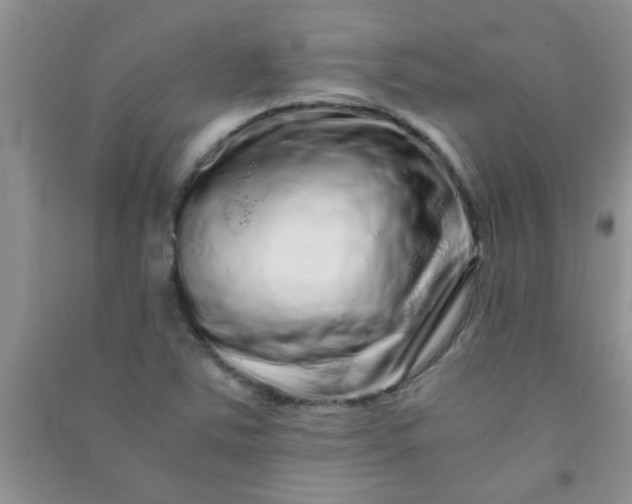 X0000090991363200708161908