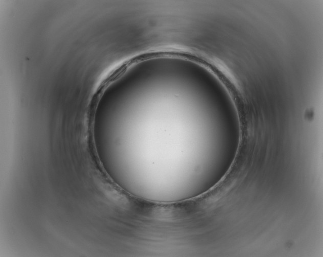 X0000090991364200708161908