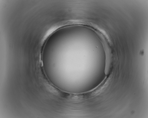 X0000090991365200708161908
