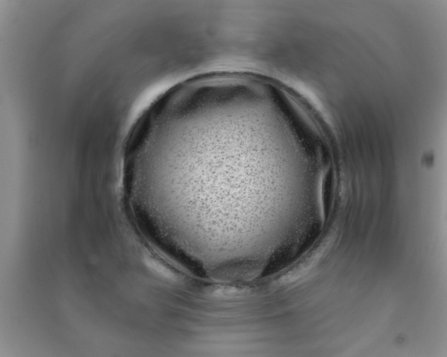 X0000090991366200708161908