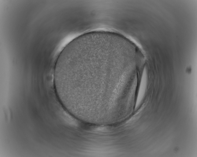 X0000090991367200708161908