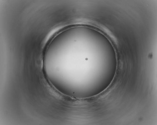 X0000090991368200708161908