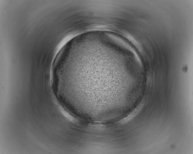 X0000090991370200708161908