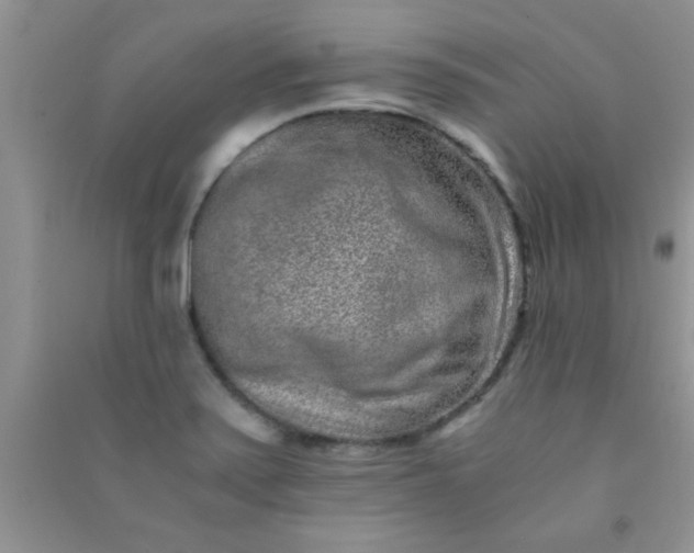 X0000090991371200708161908