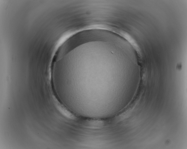 X0000090991372200708161908