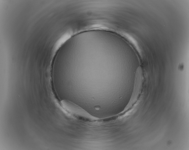 X0000090991373200708161908