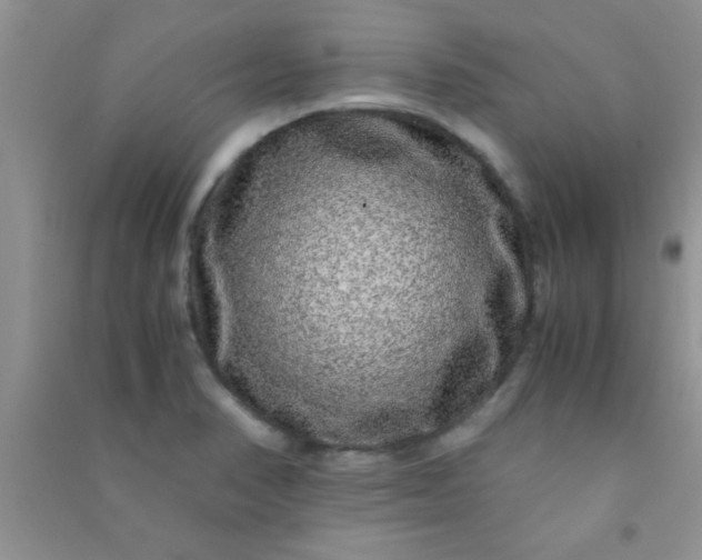 X0000090991374200708161908