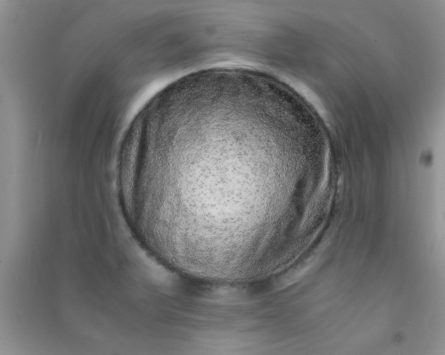 X0000090991375200708161908