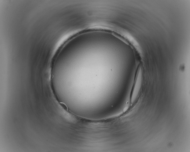 X0000090991376200708161908