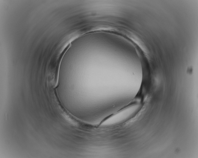 X0000090991377200708161908