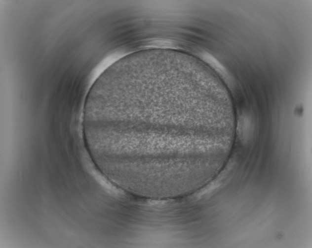 X0000090991378200708161908